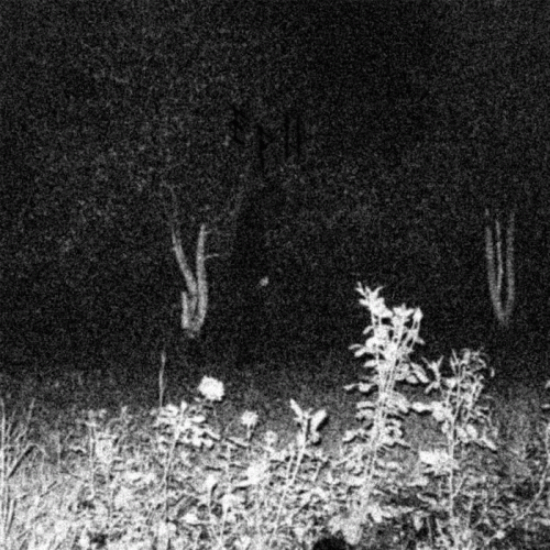 The Haggard Traveller : EP II